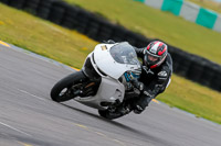 PJ-Motorsport-2019;anglesey-no-limits-trackday;anglesey-photographs;anglesey-trackday-photographs;enduro-digital-images;event-digital-images;eventdigitalimages;no-limits-trackdays;peter-wileman-photography;racing-digital-images;trac-mon;trackday-digital-images;trackday-photos;ty-croes